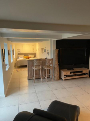 Large cozy living room with bedroom, bathroom in Slagelse